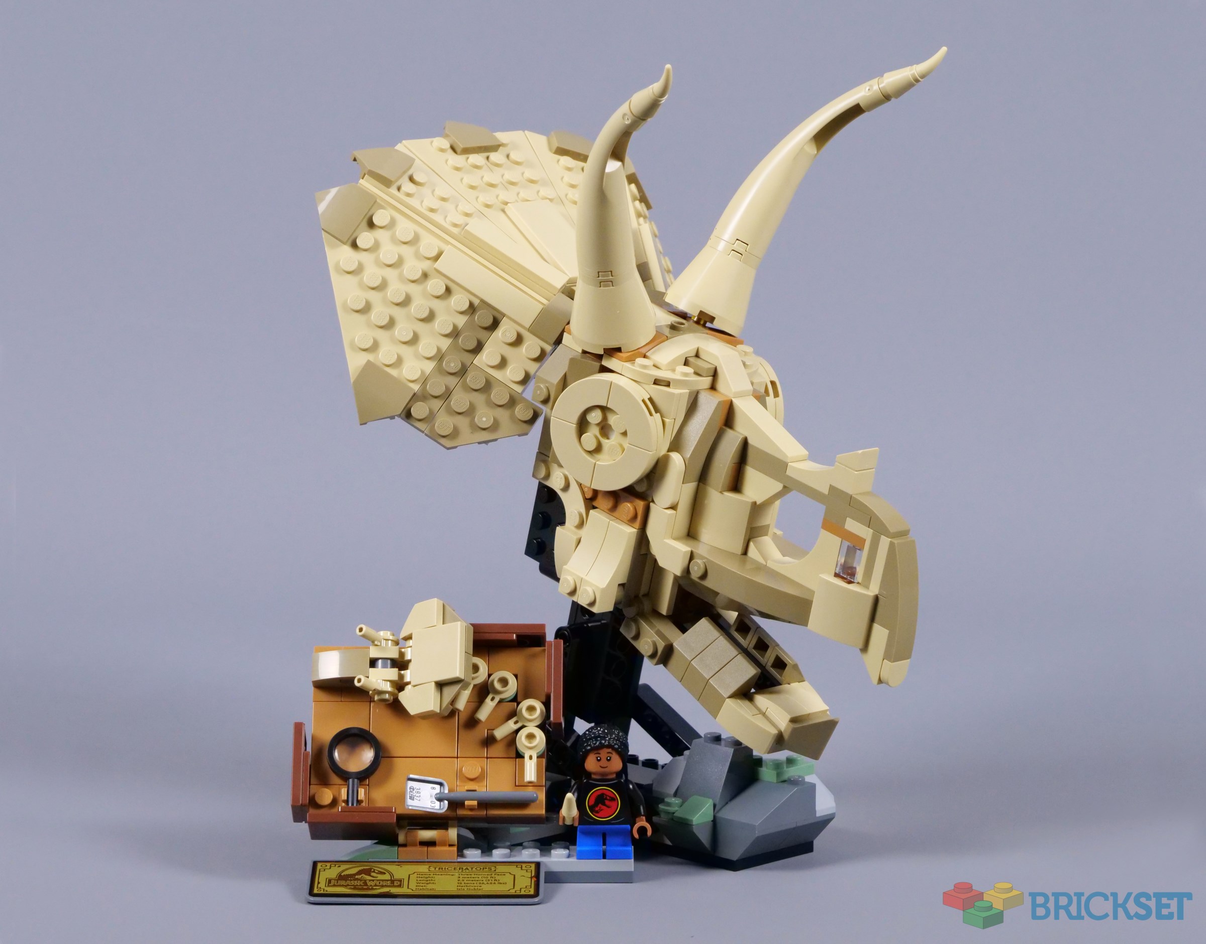 D FORCE VS-50　00X Lego 76969 Jurassic World Dinosaur Fossils: Triceratops